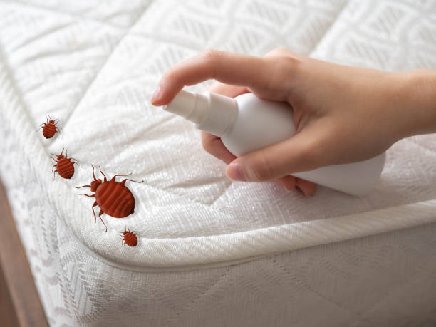 Pest Control Cost in Lawndale, CA